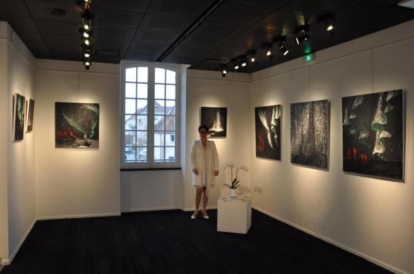 01 l artiste peintre verena von lichtenberg de strasbourg et l exposition d art nord licht a saint quentin en yvelines