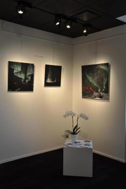 02 l exposition d art nord licht de l artiste peintre verena von lichtenberg de strasbourg ses tableaux d art en musee ou galerie a paris new york tokyo moscou ou miami