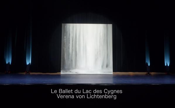 1 versailles buc le ballet du lac des cygne et l artiste peintre verena von lichtenberg