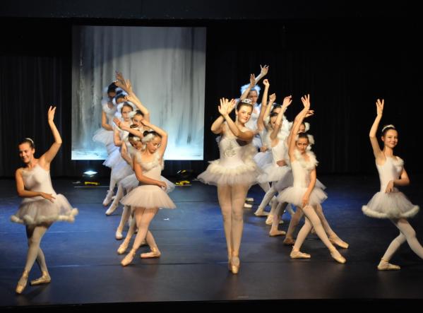 2 le ballet du lac des cygne l artiste peintre verena von lichtenberg une danse et exposition d art et de peinture versailles