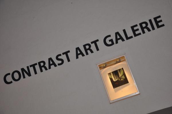 24 the painter verena von lichtenberg and the art exhibition nord licht in the galerie contrast art en belgium
