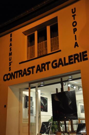 25 utopia contrast art galerie the exhibition nl and the painter verena von lichtenberg in florenville belgium abbaye orval