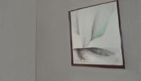 3 die moderne kunstausstellung im museum ostrovsky der malerin verena von lichtenberg aus paris in mokau