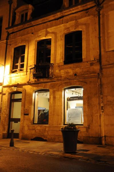 64 the gallery art expression in auxerre and the exhibition confrontation the painter verena von lichtenberg and her works lumiere australe and nord licht