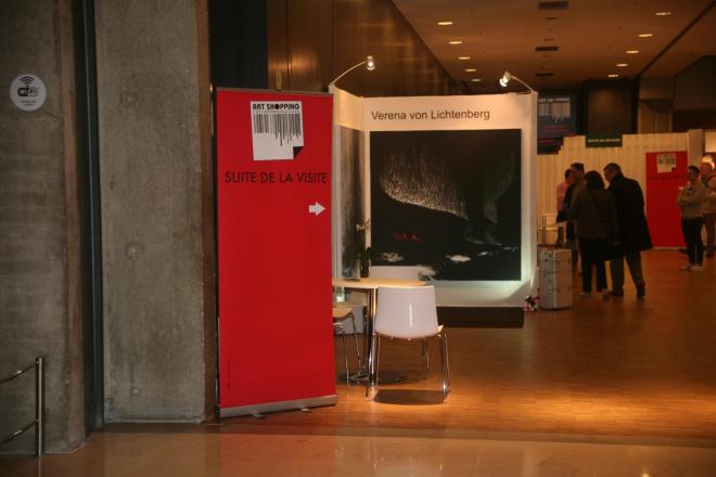 7a verena von lichtenberg artiste peintre et l exposition d art nord licht elle est au carouselle du louvre a paris