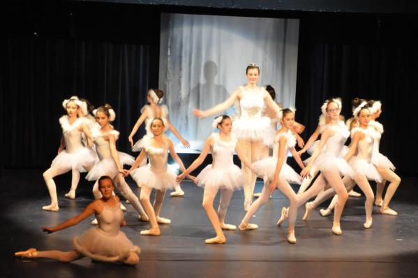 8 le ballet du lac des cygne l artiste peintre verena von lichtenberg une danse et exposition d art et de peinture versailles