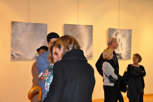 A4 les tableaux d art de l artite peintre verena von lichtenberg une exposition d art a madrid