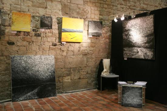 l-artiste-peintre-verena-von-lichtenberg-a-honfleur-au-salon-des-artistes-contemporains6.jpg